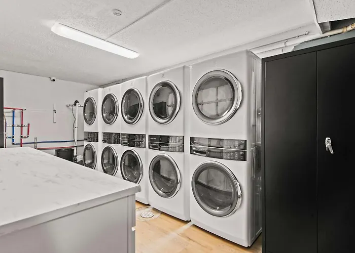 Newly Renovated Unit In Spfld #203 Apartamento *